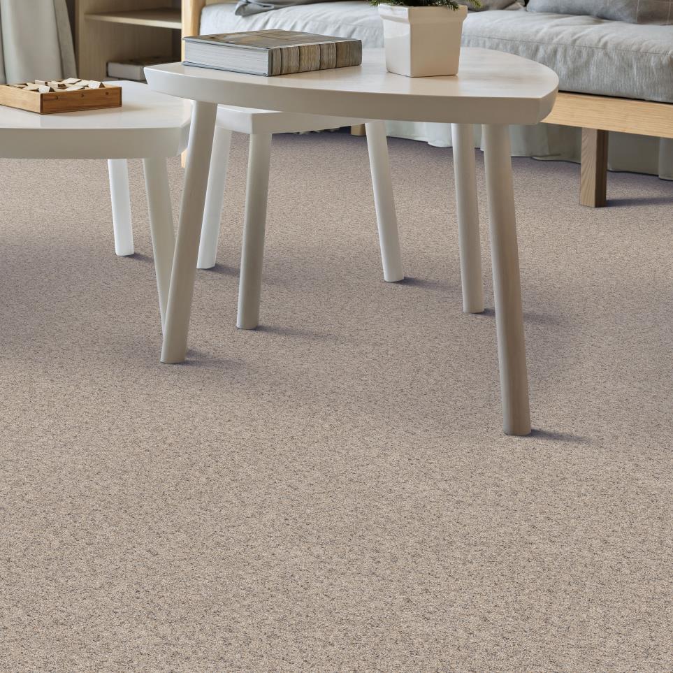 Petit Point Carpet Flooring